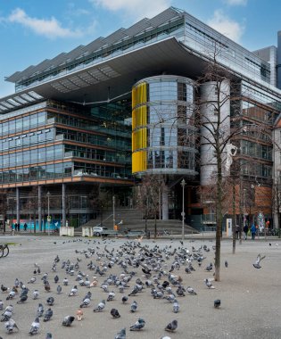 Berlin, Almanya 'da Potsdamer Platz' da güvercinlerin toplanması