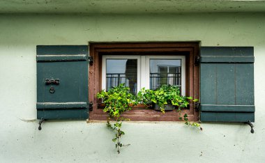 Çiçek kutusu olan küçük bir pencere