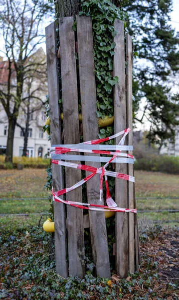 Tronco Árvore Protegido Com Placas Lado Canteiro Obras Berlin Alemanha — Fotografia de Stock