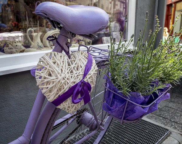 Décoration Avec Vélo Violet — Photo