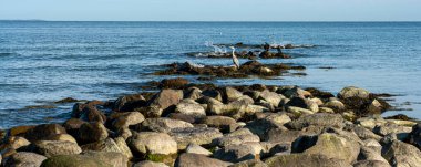 Kıyı manzarası, Ruegen Adası, Mecklenburg-Batı Pomerania, Almanya
