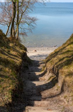 Gen, Rgen Adası yakınlarındaki orman ve yürüyüş alanı, Mecklenburg-Batı Pomerania, Almanya