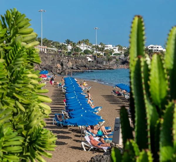 Playa Los Pocillos Lanzarote Canary Islands Spain November 2022 — Stock Photo, Image