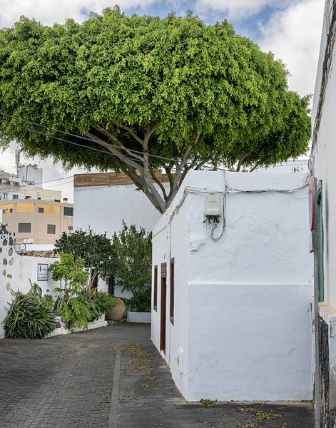 Fasaddetalj Dörrar Och Fönster Flerfamiljshus Teguise Lanzarote Kanarieöarna Spanien November — Stockfoto