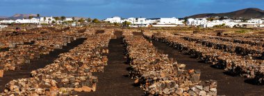 Siyah volkanik manzaradaki beyaz villa, Lanzarote, Kanarya Adaları, İspanya