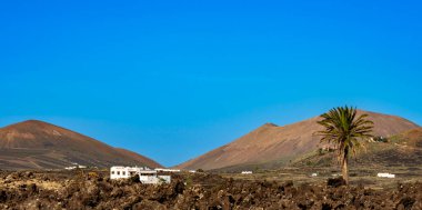 white villa in the black volcanic landscape, Lanzarote, Canary Islands, Spain
