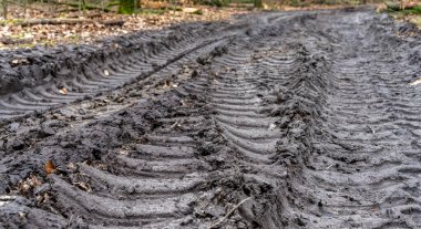 Berlin, Almanya 'nın çamurlu orman zemininde lastik izleri var.