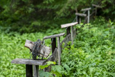Bad Tlz, Bavyera, Almanya çevresindeki manzara ve doğa