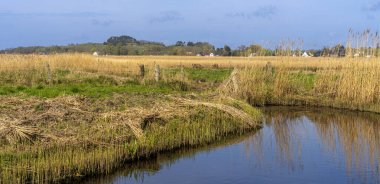 Lowland, Bodden on Rgen, Mnchgut Yarımadası, Mecklenburg-Batı Pomerania, Almanya