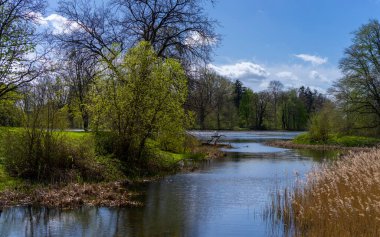 Lowland, Bodden on Rgen, Mnchgut Yarımadası, Mecklenburg-Batı Pomerania, Almanya