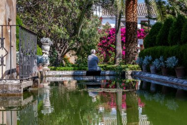 Senior sitting by the pond in a beautiful park, Bornos, , Andalusia, Spain clipart