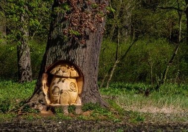 Ağaç gövdesine odun oyma, Putbus, Rgen, Mecklenburg-Vorpommern, Almanya 'da park