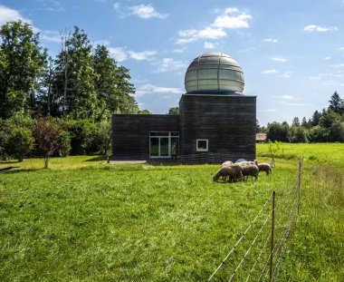 Yurtiçi koyunlar (ovis gmelini arsaları), Almanya 'nın Bavyera kentindeki Knigsdorf Rothmhle gözlemevinde otlayan koyun sürüsü.
