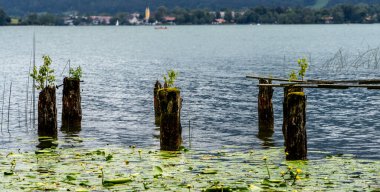 Tegernsee Gölü, Bavyera, Almanya çevresindeki doğa ve manzara