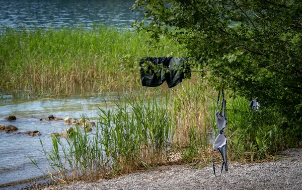 Tegernsee Gölü, Bavyera, Almanya çevresindeki doğa ve manzara