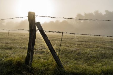 Sabahın erken saatlerinde Wittmoor, Norderstedt, Holstein eyâletinde, Almanya 'nın içinde ve çevresinde sis vardı.