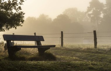 Early morning fog, landscape in and around Wittmoor, Norderstedt, Schleswig-Holstein, Germany clipart