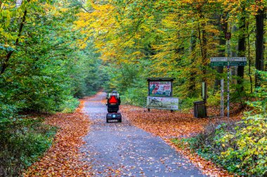 Autumn landscape in the park, Berlin, Germany clipart