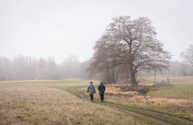 Manzara fotoğrafçılığı, Ocak ayında sis, Berlin Lbarları, Almanya