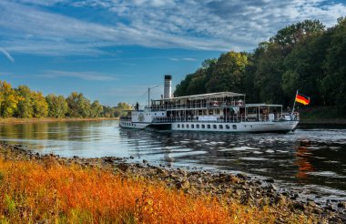 Pillnitz, Saksonya, Almanya yakınlarındaki Elbe 'de kürek çek.