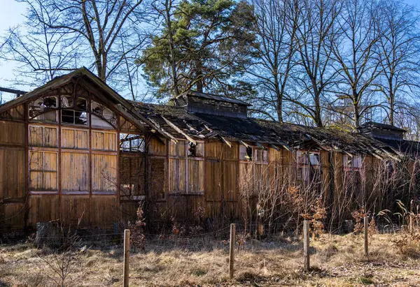Eski tüberküloz sanatoryumu, Beelitz, Brandenburg, Almanya çevresindeki tarihi mimari