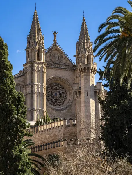 Manzaralar, mimari ve günlük şehir manzaraları, Palma de Mallorca, Balearic Adaları, İspanya