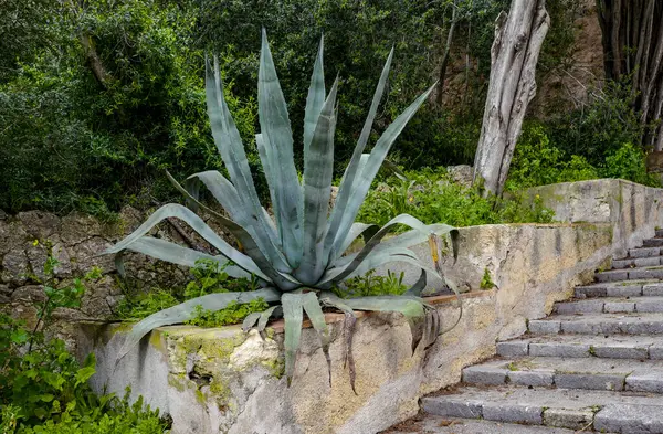 Arta 'daki Santuari de Sant Salvador şatosu, Mallorca, Balearic Adaları, İspanya