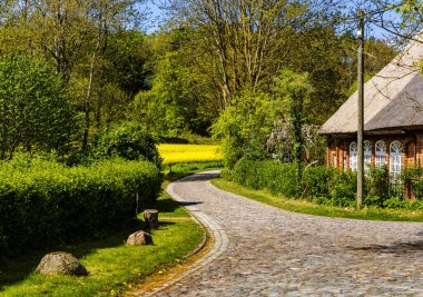 Almanya 'nın Mecklenburg-Batı Pomerania adasındaki küçük kır yolu ve tipik Kuzey Alman evleri