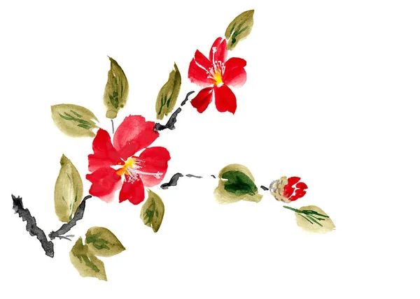 白い背景にハイビスカスの花は 中国の技術で行わ華した 紙の質感で水彩画を手描き ラスター画像 — ストック写真