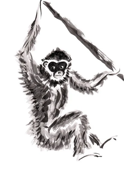 Monkey hanging on the branch. Hand drawn in chinese ink with paper texture. Inkdrawn collection. Raster image