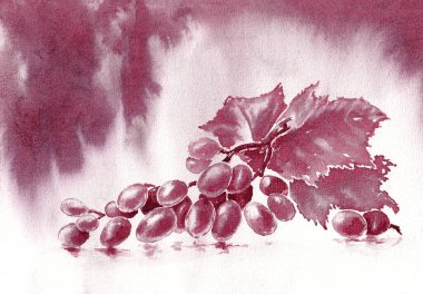 Bunch of grapes on the surface with shadow. Hand drawn art painting with red dry wine on paper texture. Bitmap mage