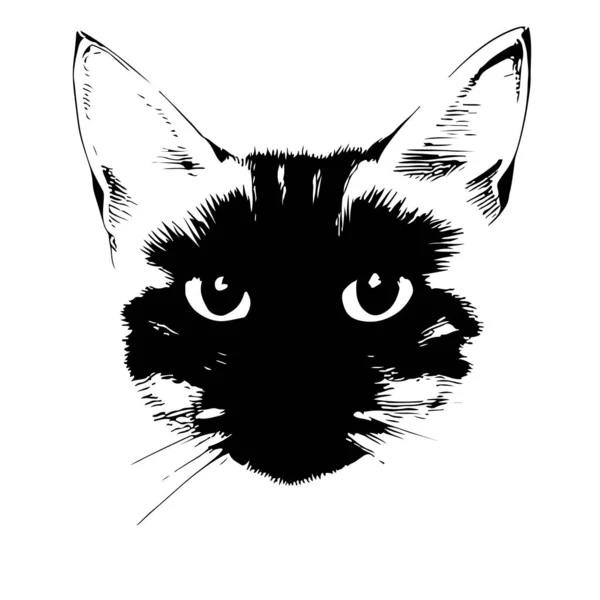 猫の頭のスケッチを閉じます 入れ墨に良い 白地に高いディテールが分離された編集可能なベクターモノクロ画像 — ストックベクタ