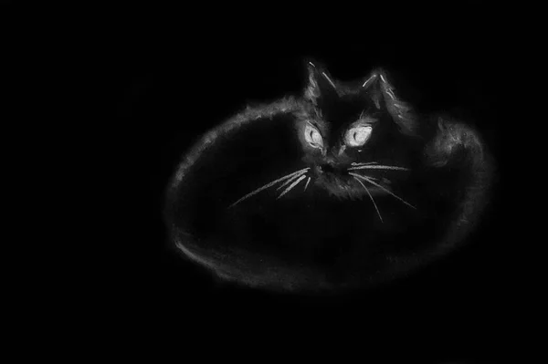 Siyah Arka Planda Büyük Gözleri Olan Bekar Bir Kedi Kağıt — Stok fotoğraf
