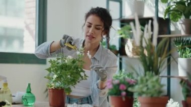 Bir serada çiçek ve çiçek düzenleyen güzel bir kadının videosu.