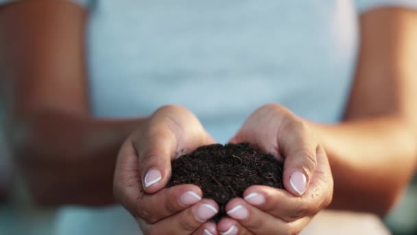 Video Woman Hands Holding Soil New Life Concept — Vídeo de Stock