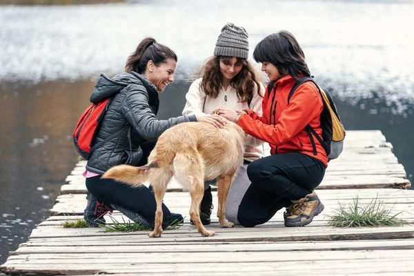Gölün Kıyısındaki Iskelede Oturan Bir Köpekle Oynayan Güzel Bir Ailenin — Stok fotoğraf