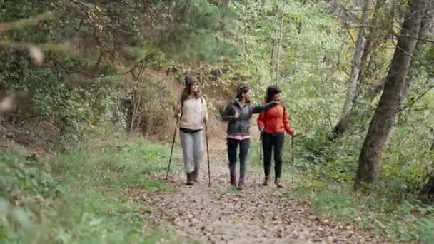 Видео Красивых Семейных Туристов Рюкзаком Гуляющих Глядя Пейзаж Горах — стоковое видео