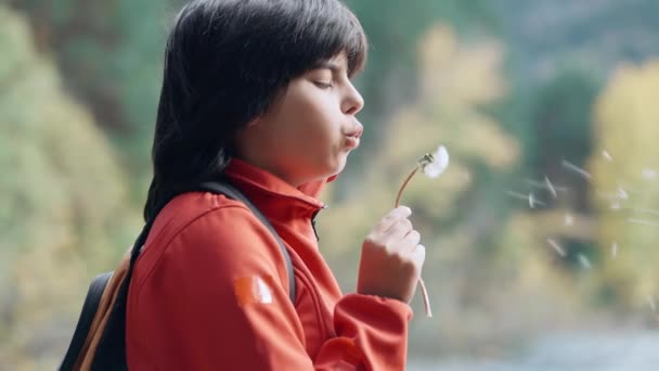 Βίντεο Του Κοριτσιού Φυσάει Ένα Πικραλίδα Ενώ Κάνει Μια Ευχή — Αρχείο Βίντεο
