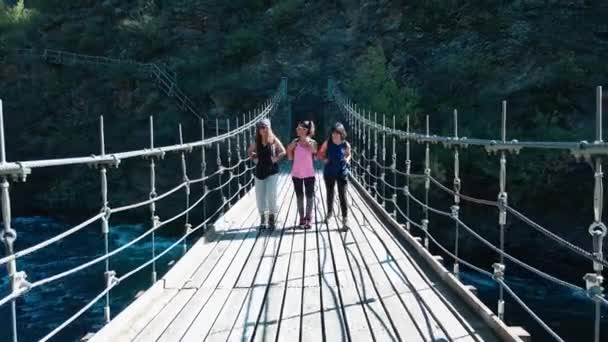 Video Linda Familia Caminando Puente Bosque Montaña — Vídeo de stock