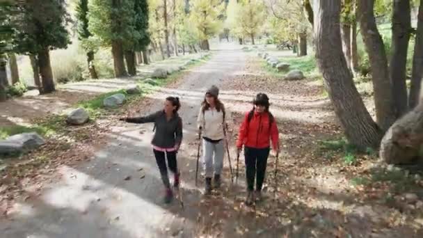 Dağdaki Manzaraya Bakarken Sırt Çantalı Güzel Aile Yürüyüşçülerinin Videosu — Stok video