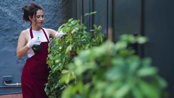 Vidéo Belle Jardinière Arrosant Les Plantes Avec Pulvérisateur Dans Jardin — Video