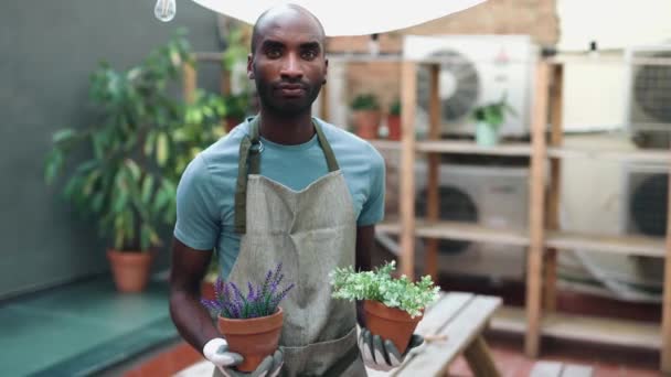 Vidéo Homme Jardinier Tenant Des Plantes Tout Regardant Caméra Dans — Video
