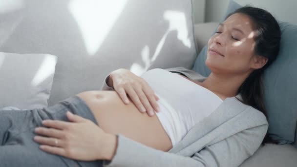 美丽的孕妇躺在沙发上放松地摸着肚子的视频 — 图库视频影像