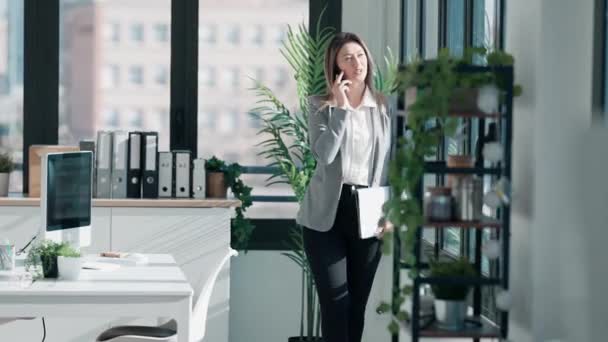 Video Der Schönen Eleganten Geschäftsfrau Bei Der Arbeit Während Sie — Stockvideo