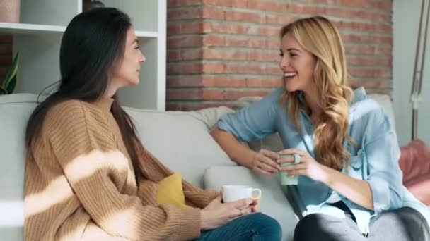 Video Von Zwei Lächelnden Jungen Frauen Die Sich Beim Kaffeetrinken — Stockvideo