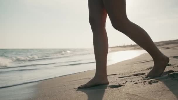 Video Bella Giovane Donna Godendo Libertà Mentre Posa Spiaggia — Video Stock