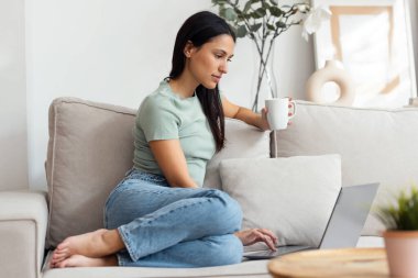 Evdeki kanepede oturup bir fincan kahve içerken dizüstü bilgisayarıyla çalışan güzel bir genç kadının fotoğrafı.
