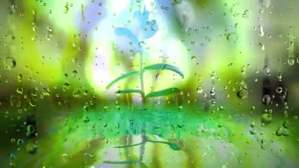 Regn Kör Ner Ett Fönster Mot Ung Grön Växt — Stockvideo