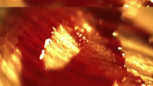血液在人体皮肤上的宏观射精效果 — 图库视频影像