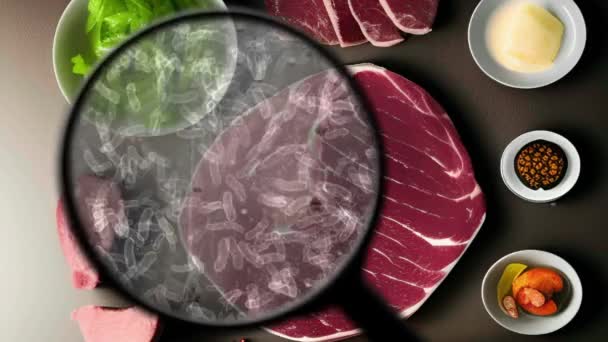 Căutarea Bacteriilor Carnea Crudă — Videoclip de stoc